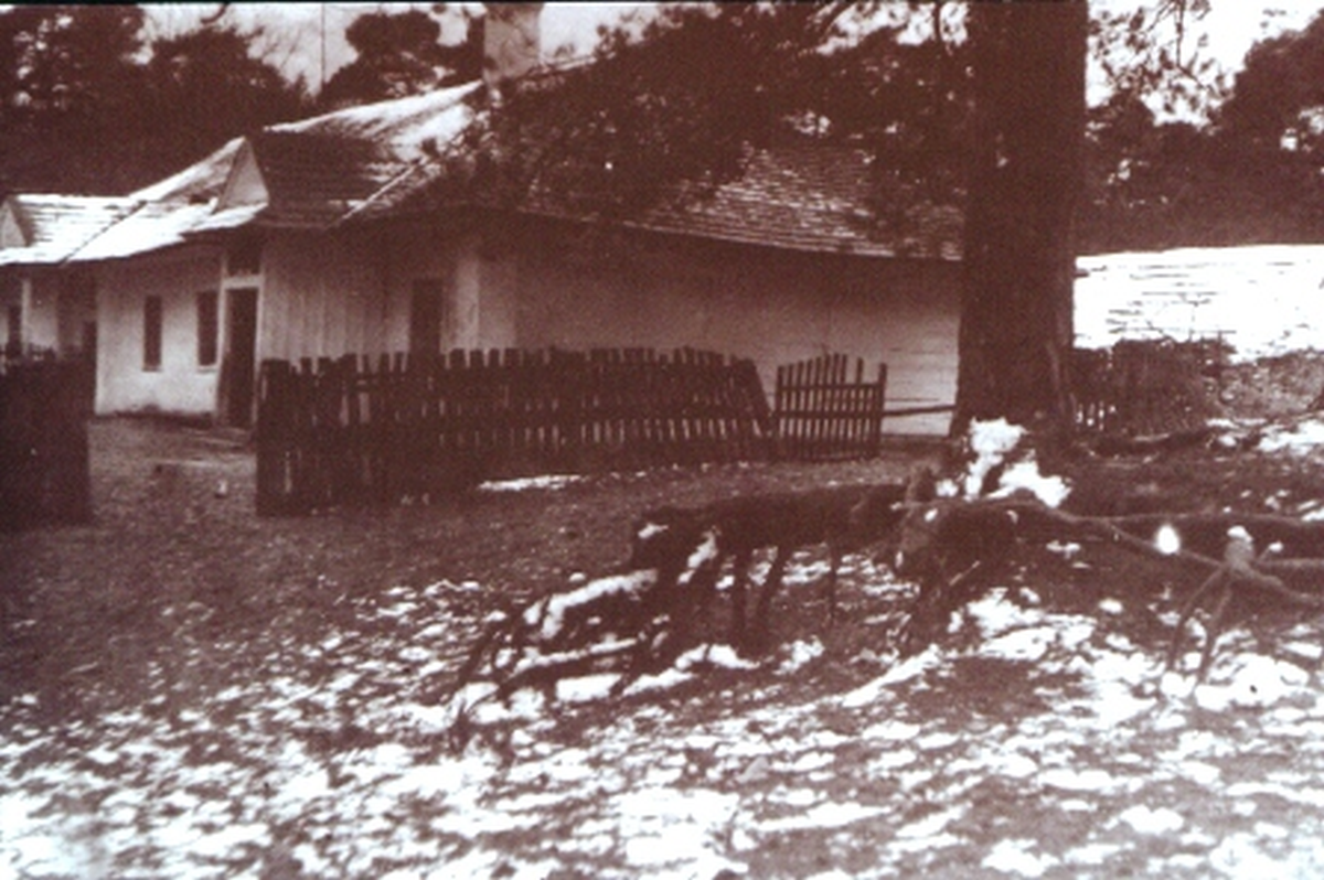Zdjęcie szkoły z 1930 r.